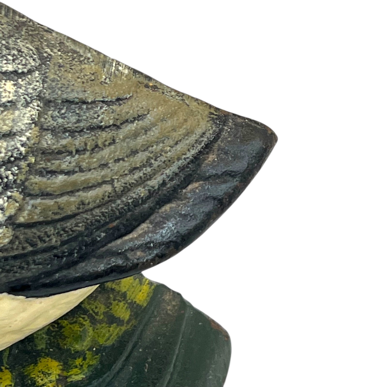 close up of doorstop