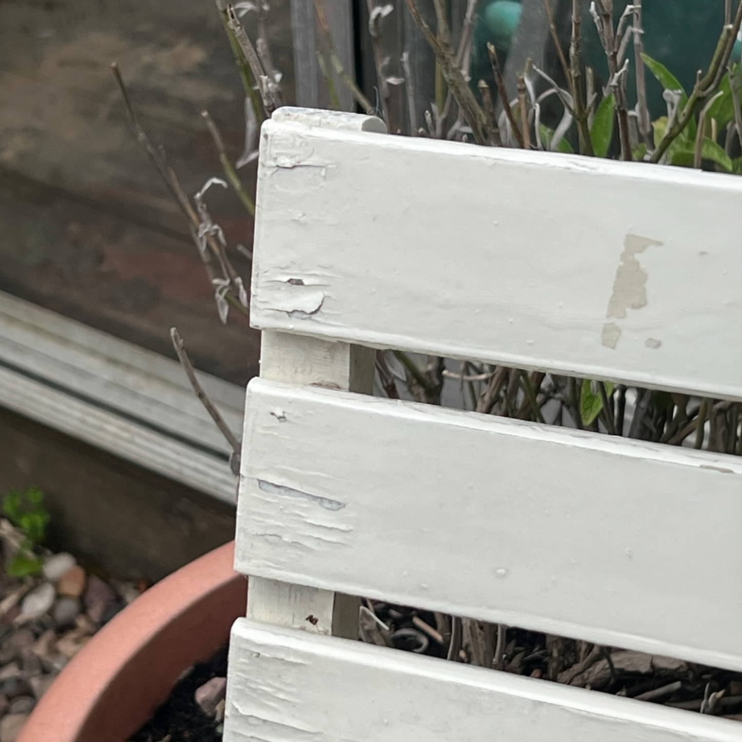 A close-up view of a painted wooden slatted garden chair set amidst a lush garden backdrop.