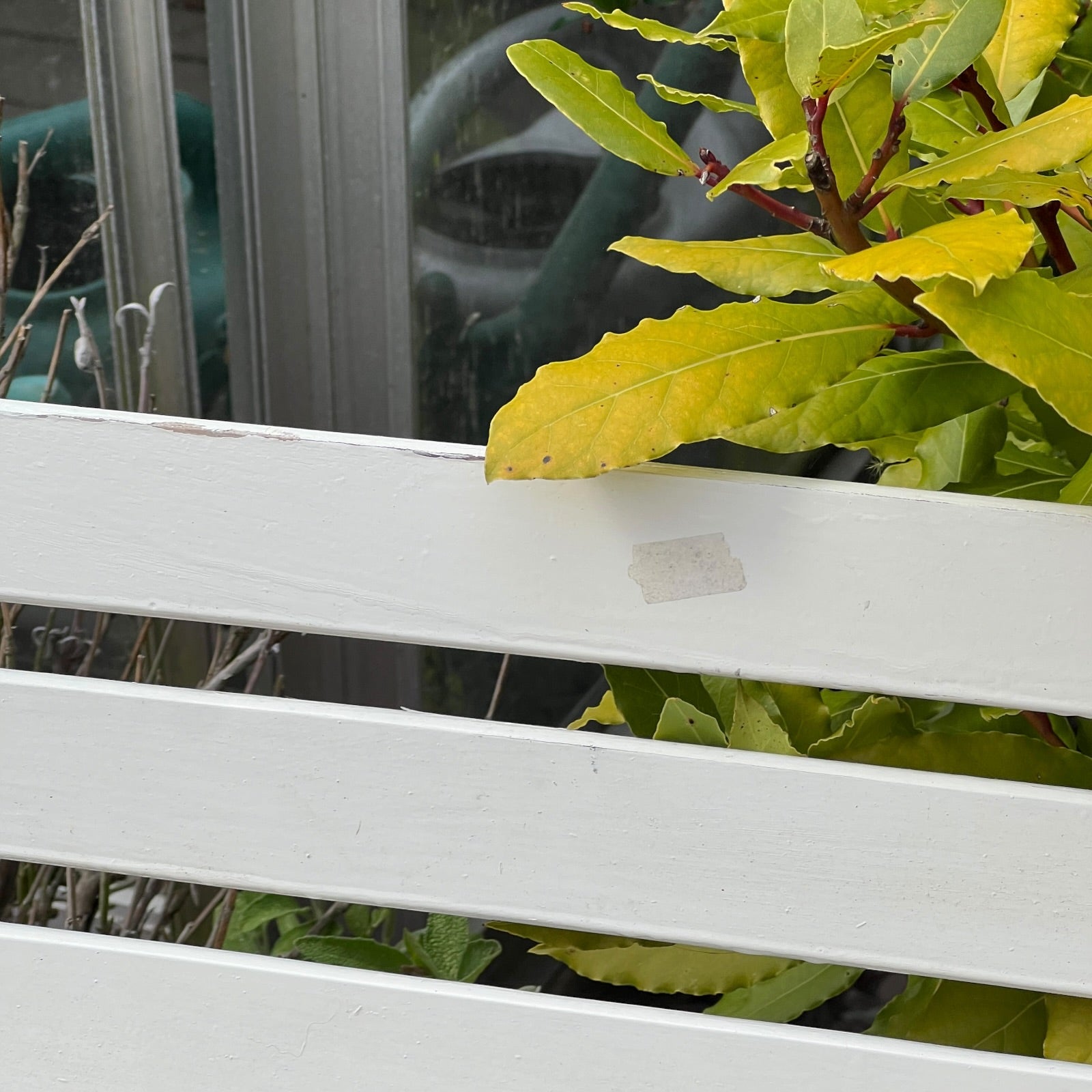 Close-up detail of French wooden slatted chairs, highlighting their condition in an outdoor setting.