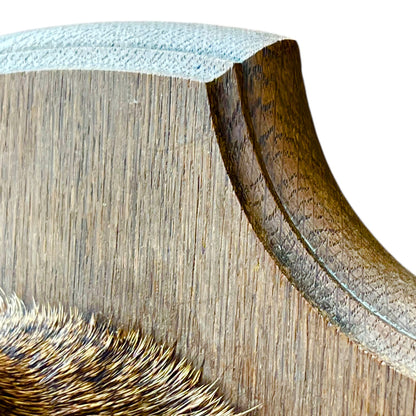 Close-up of a deer mount on a white background