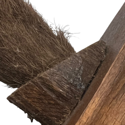 close up of boar hooves on a white background