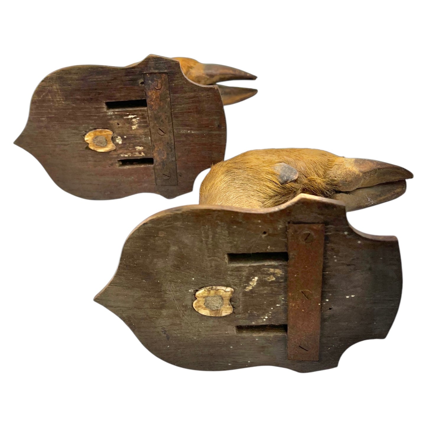 French Taxidermy Wild Boar Hooves Coat Hooks, Hat Rack or Umbrella Holder (B35)