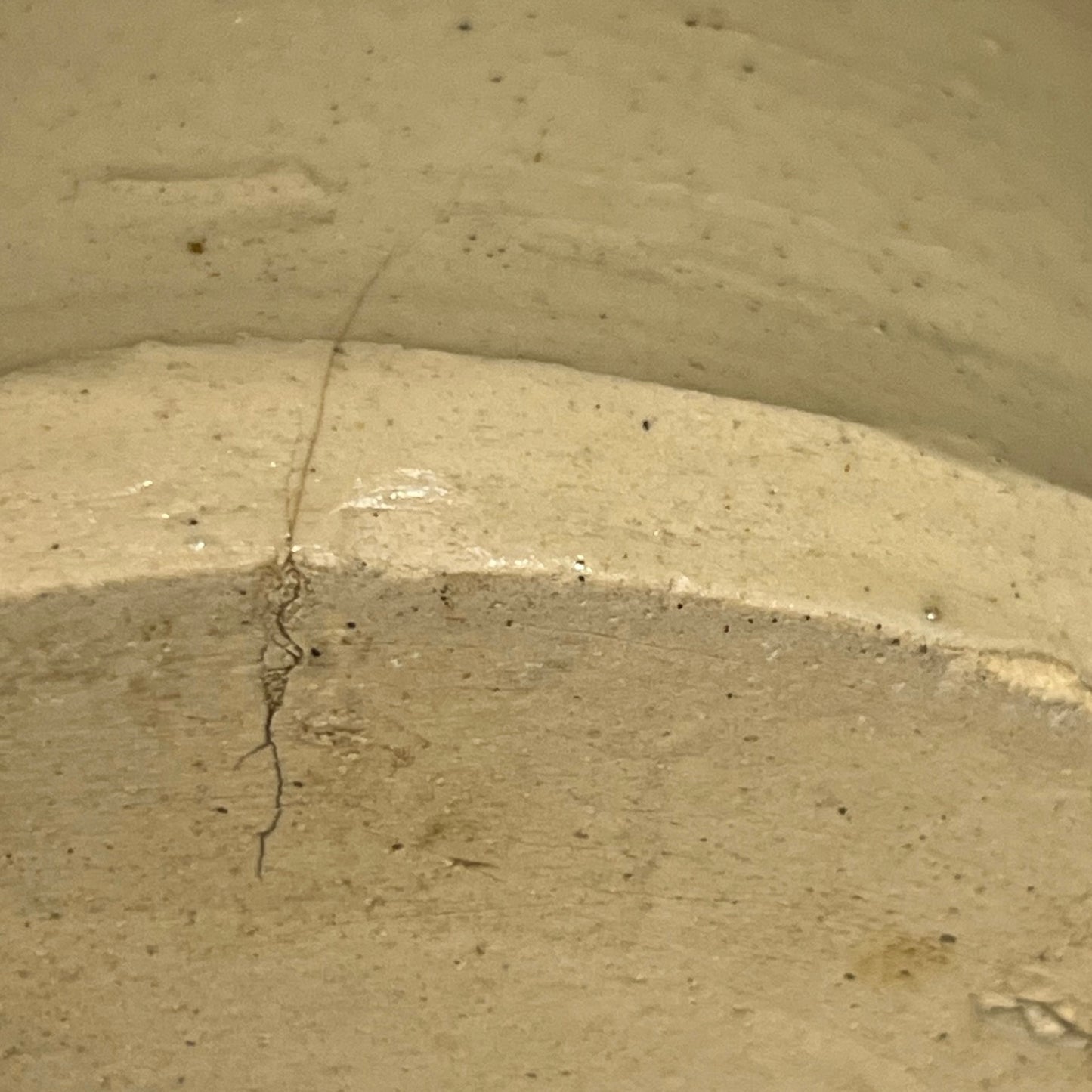 Close up of a beige cylindrical WW1 jar on a white background