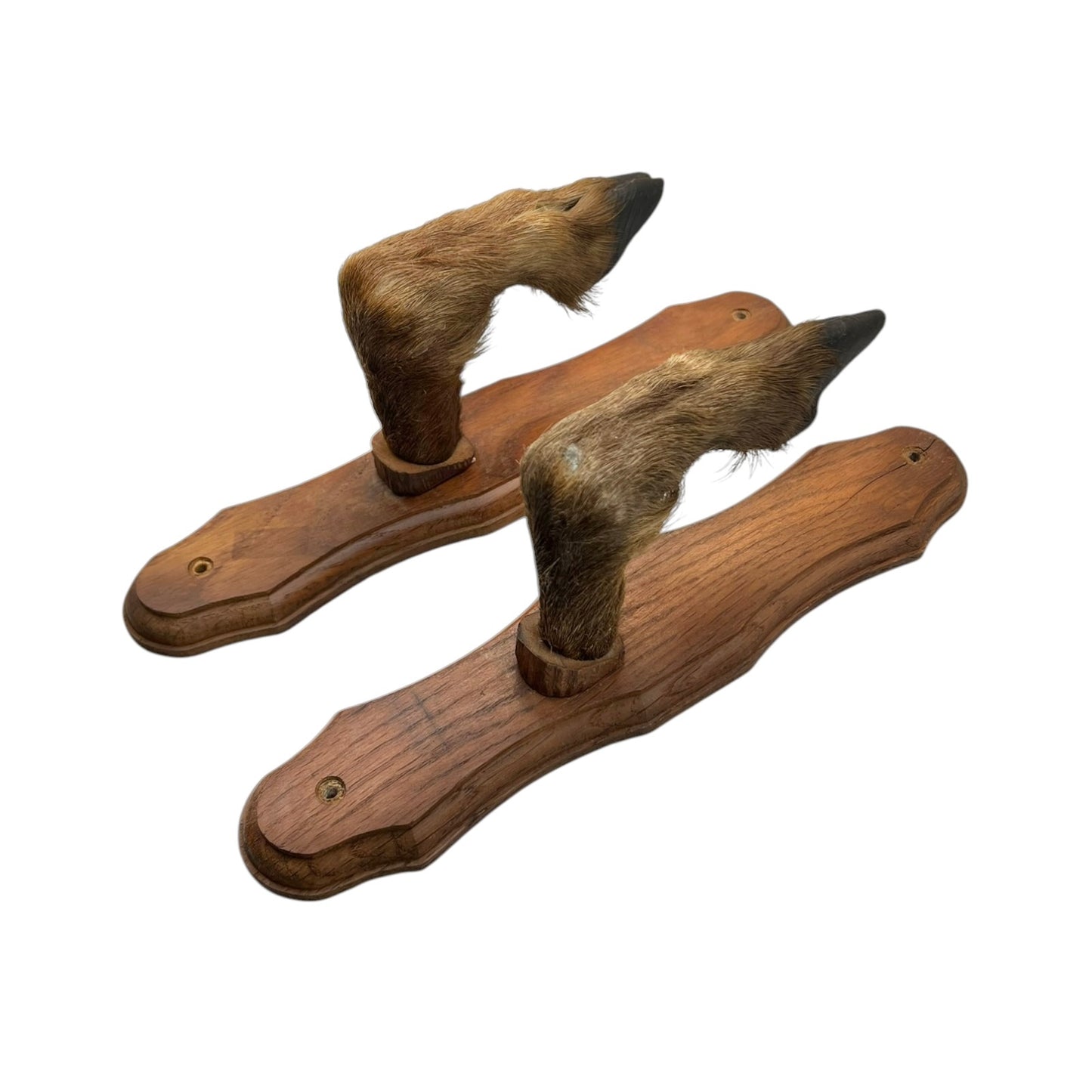 Vintage French Deer Hoof Taxidermy Coat Hooks | Rustic Hunting Wall Hooks