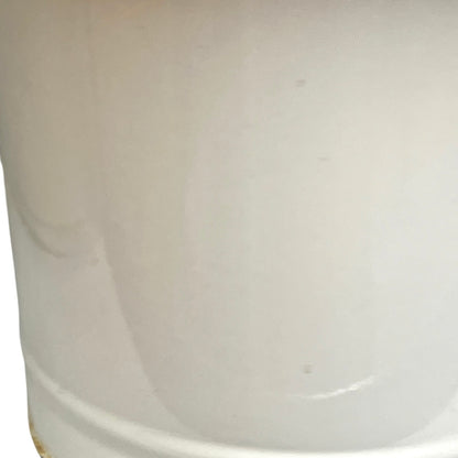 Close up of a vintage enamel lidded white bucket on a white background