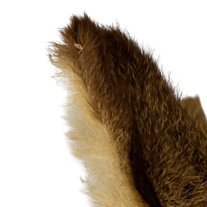 Close up of deer taxidermy head
