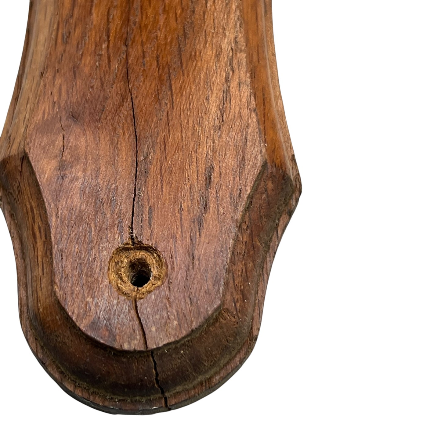 Vintage French Deer Hoof Taxidermy Coat Hooks | Rustic Hunting Wall Hooks