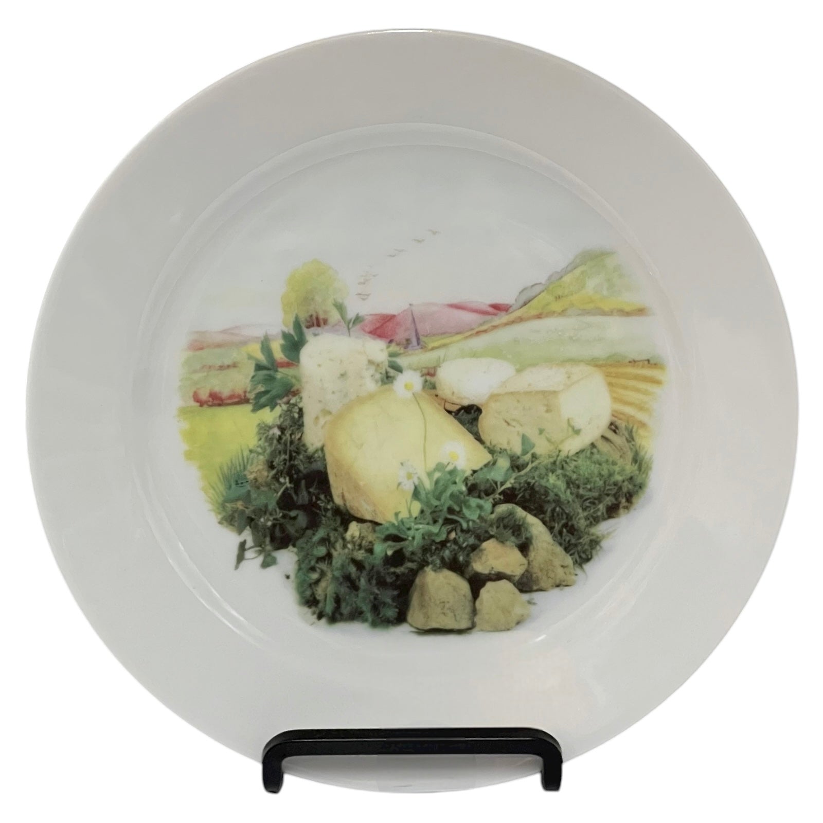 French cheese plate on a stand with a white background