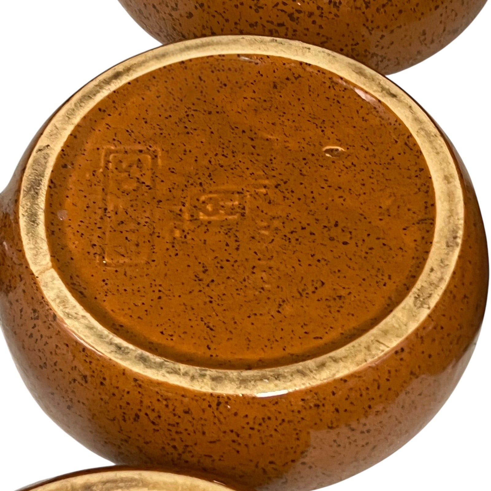 Close up of a French escargot plate on a white background