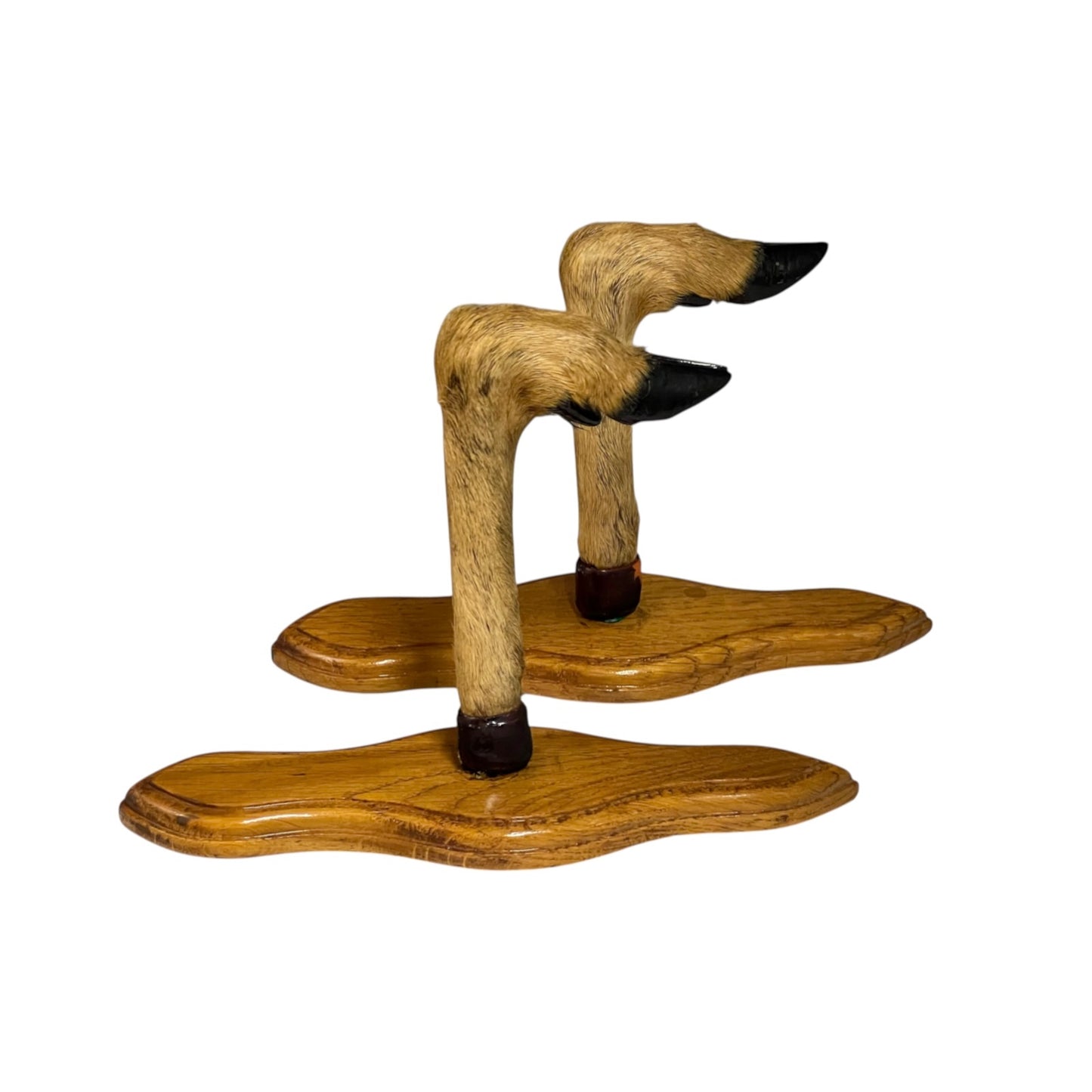 French taxidermy deer hooves