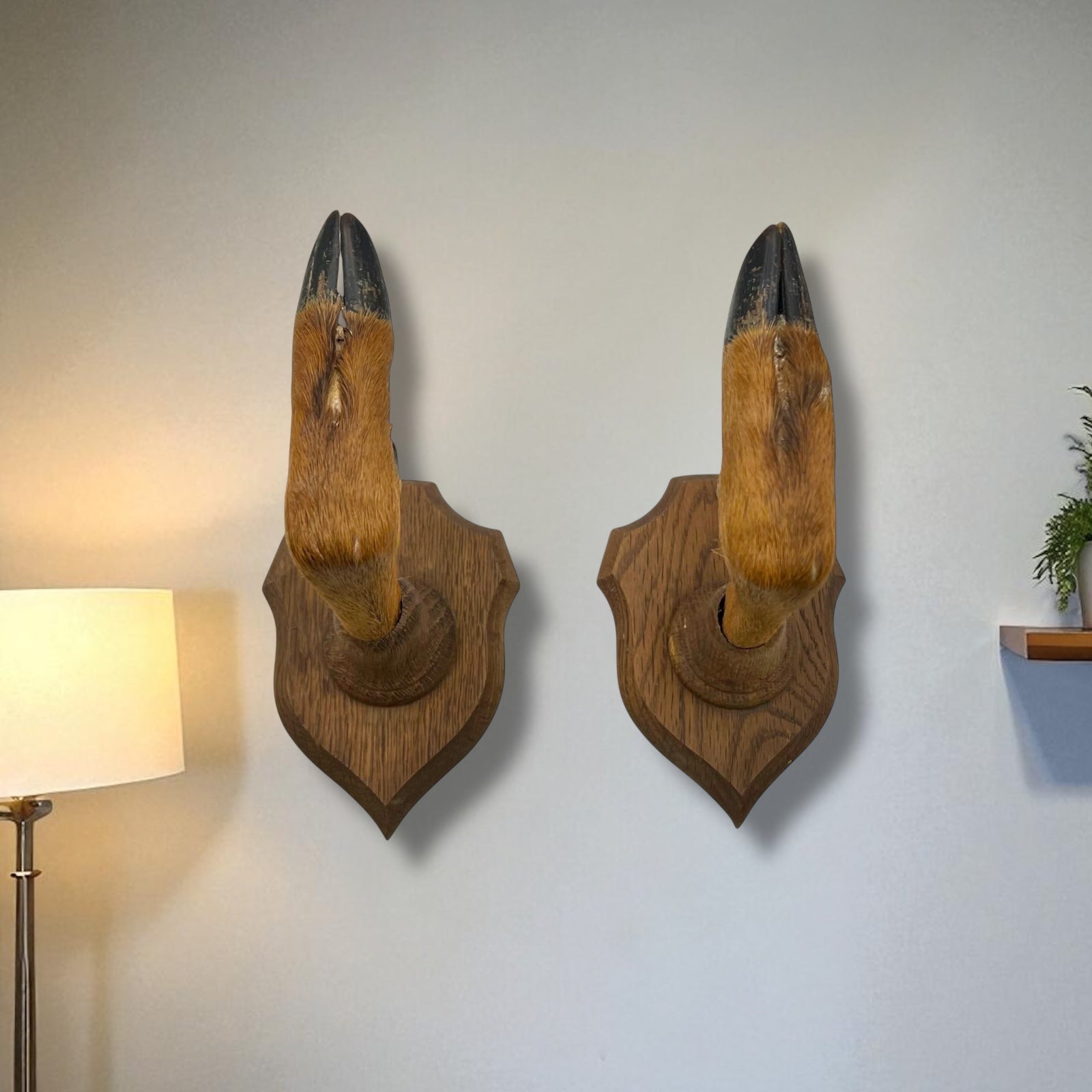 Two wooden wall-mounted deer hooves decorations on a plain wall.