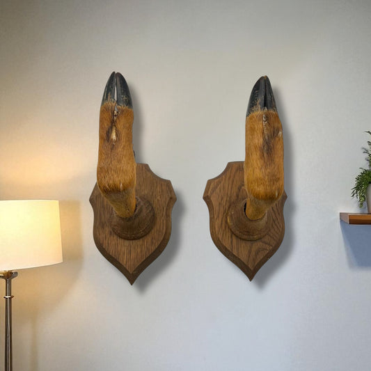 Two wooden wall-mounted deer hooves decorations on a plain wall.