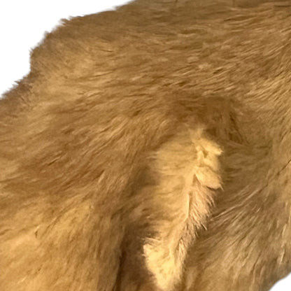 Close-up of a taxidermy small animal on a white background 