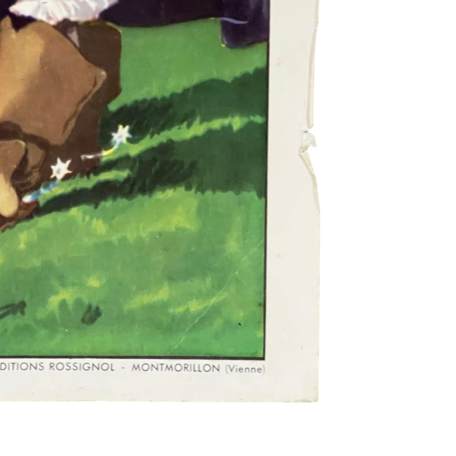 Close up of a French vintage school poster on a white background 