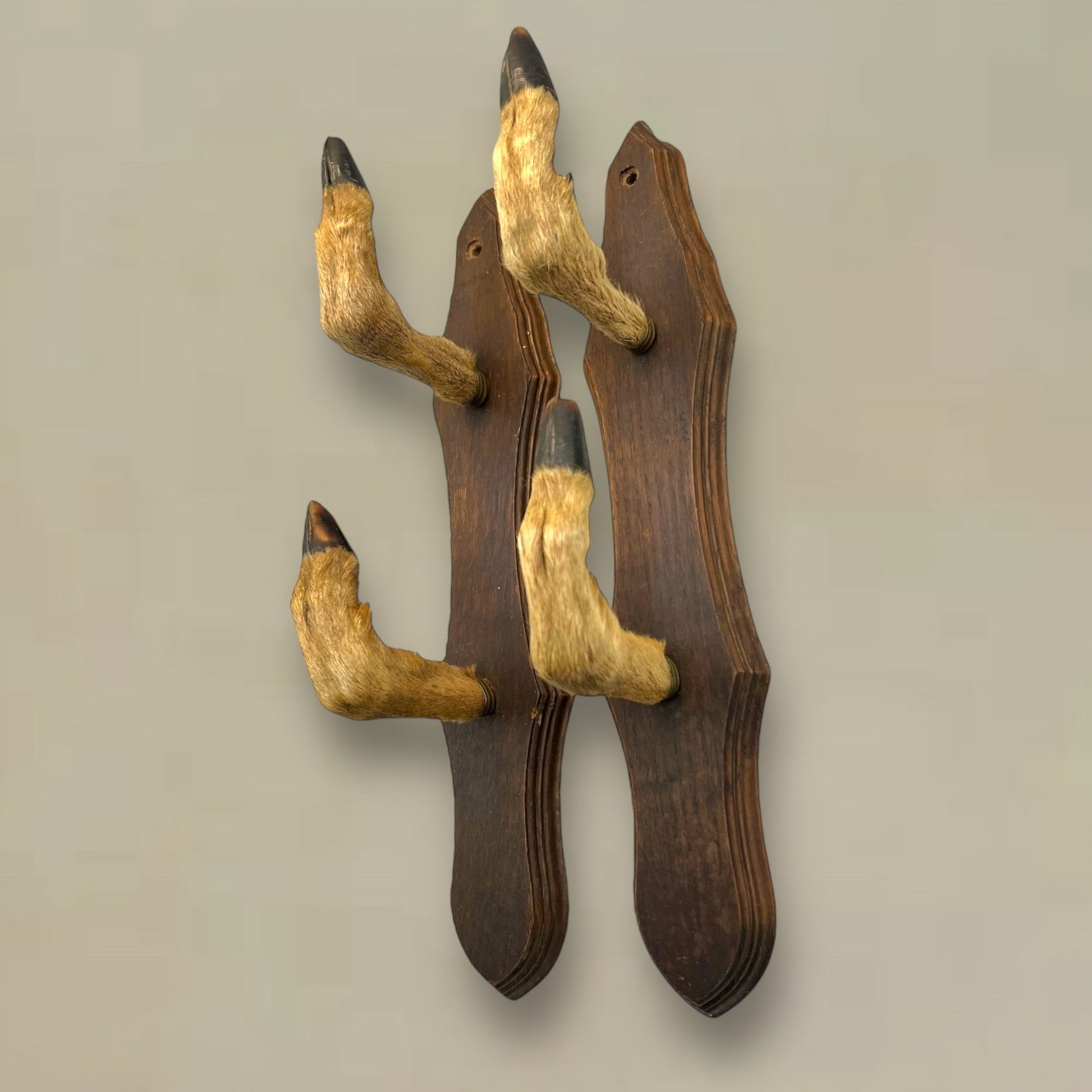 French Taxidermy Roe Deer Hooves Coat Hooks, Hat Rack or Umbrella Holder  for sale by All Things French Store