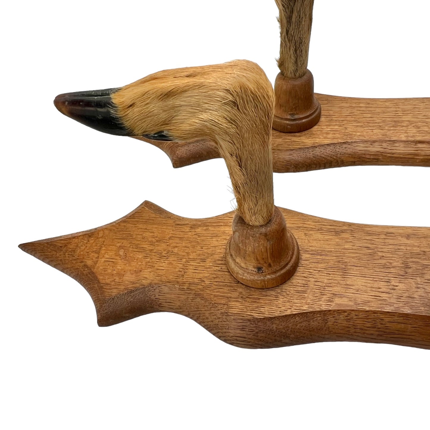 French Taxidermy Roe Deer Hooves Coat or Hat Hooks, Gun Rack or Umbrella Holder