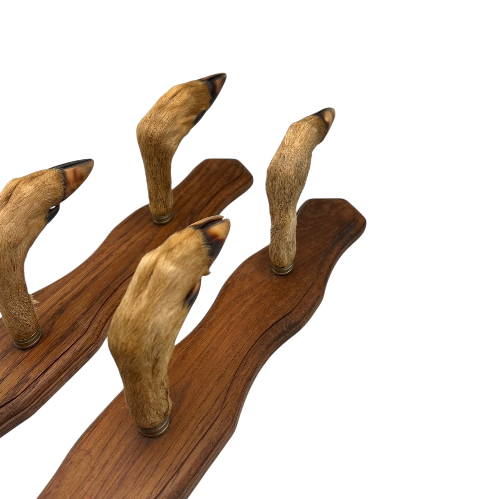 Set of 6 French vintage deer hooves on a 2 wooden mounts, ideal for coat hooks - on a white background