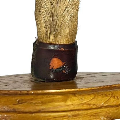 Close up of taxidermy deer hooves on wooden mounts 
