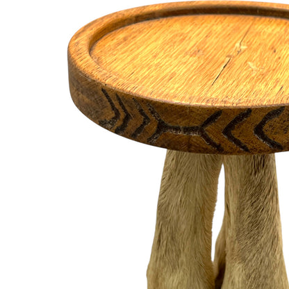 close up image of taxidermy stand top edge