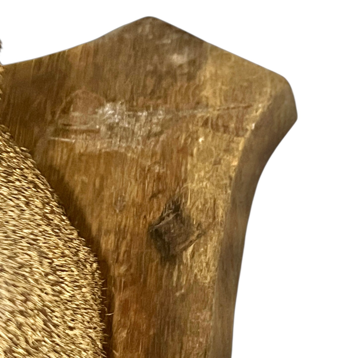 Close-up of a taxidermy deer head on a white background