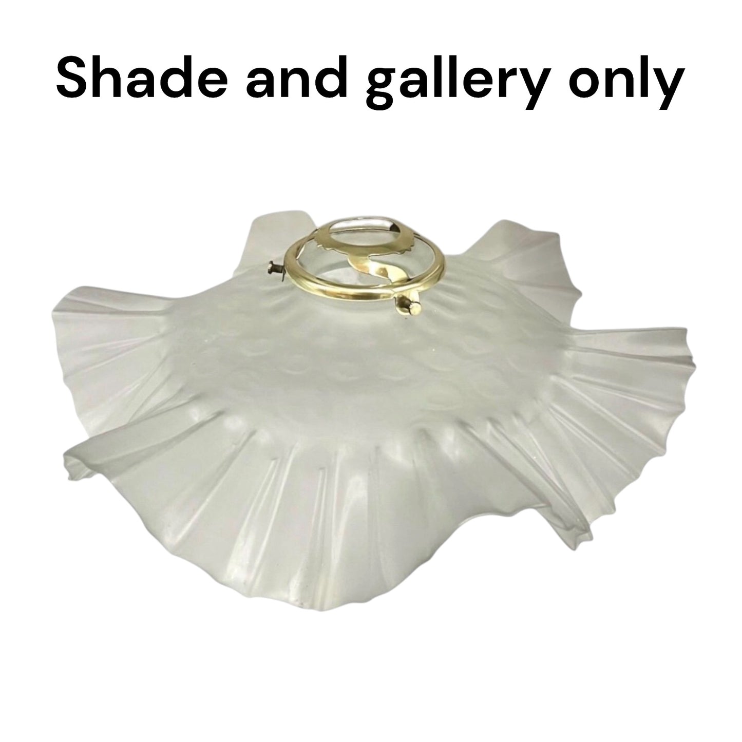 A white pleated shade with a gold metal mounting ring, shown against a plain white background with the text 'Shade and gallery only' at the top.