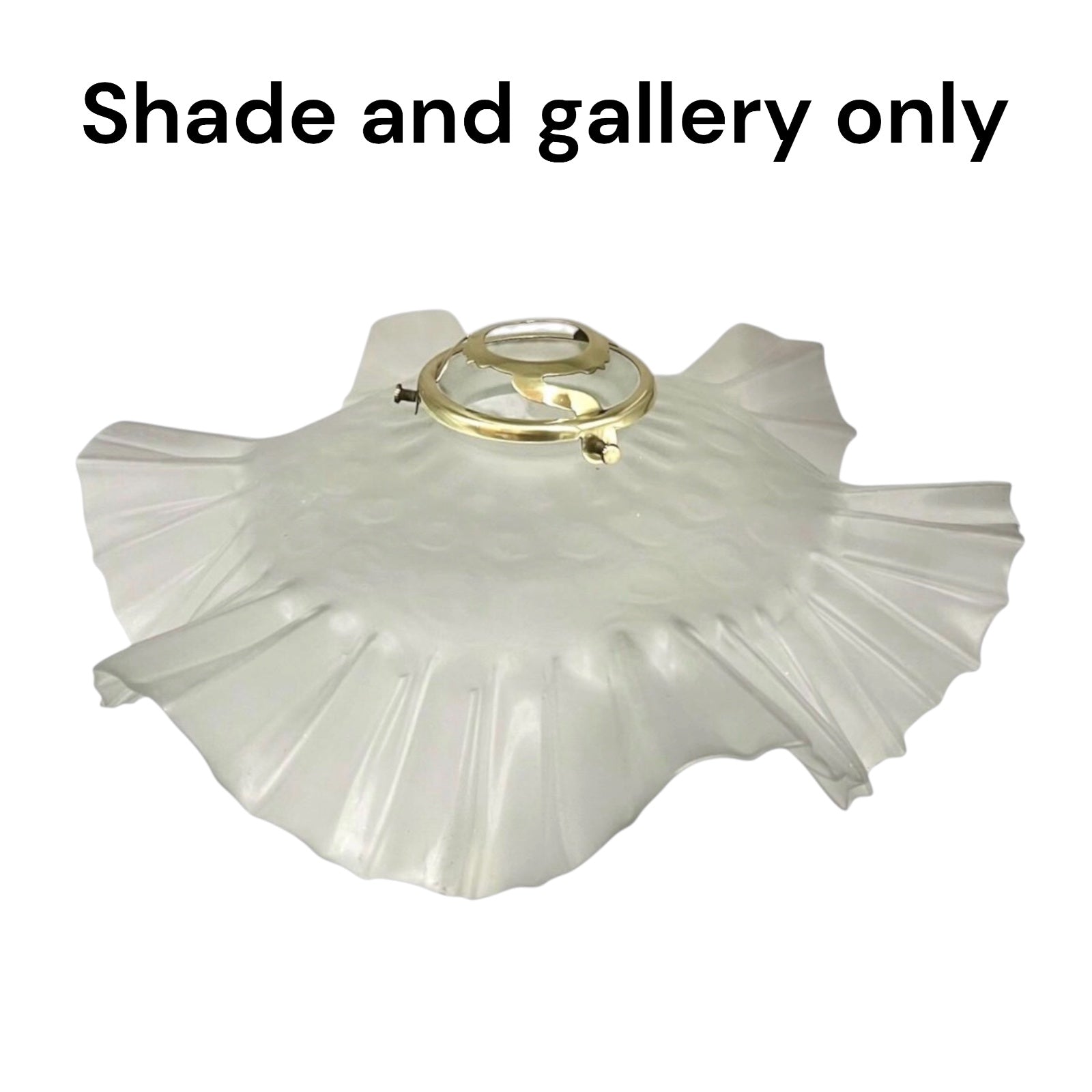 A white pleated shade with a gold metal mounting ring, shown against a plain white background with the text 'Shade and gallery only' at the top.