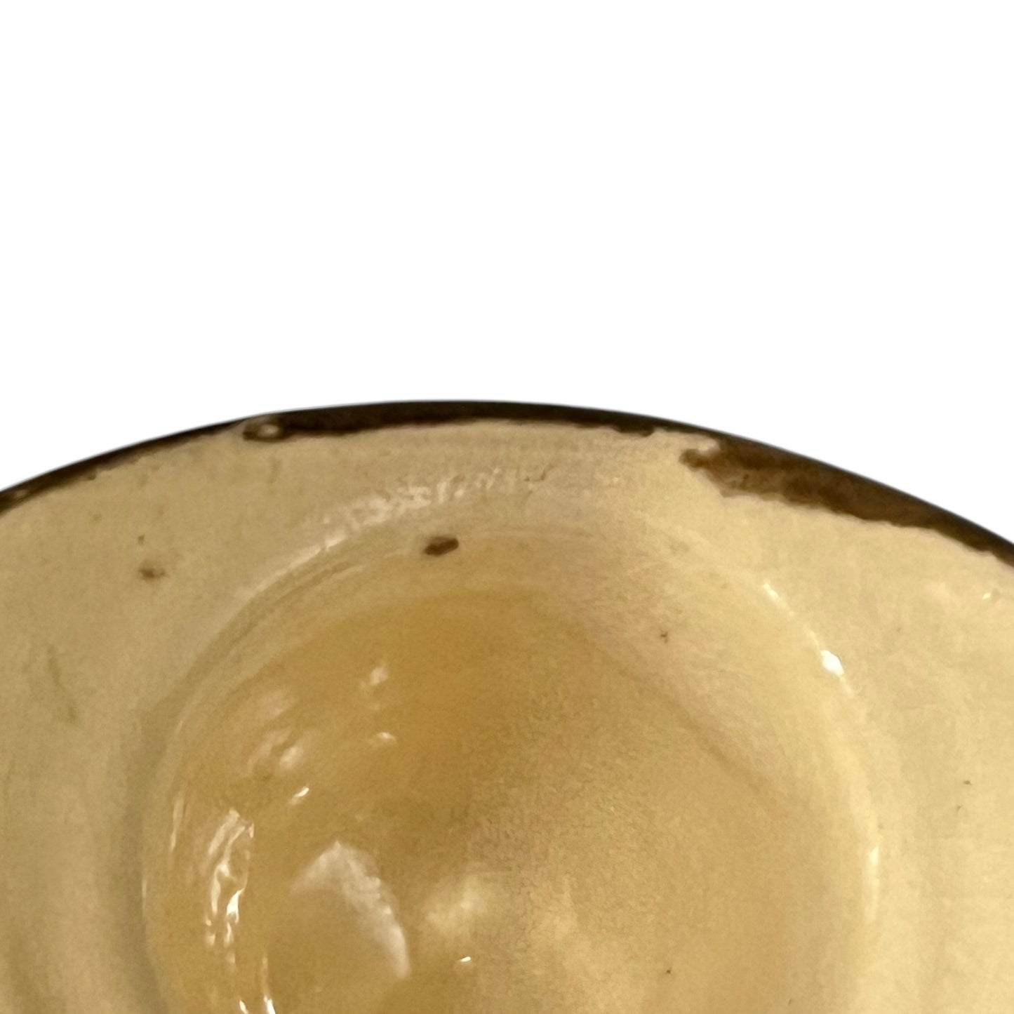 Close up of snail plates with handles on a white background