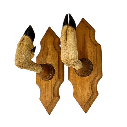 Wooden wall hooks made from deer hooves design on a white background