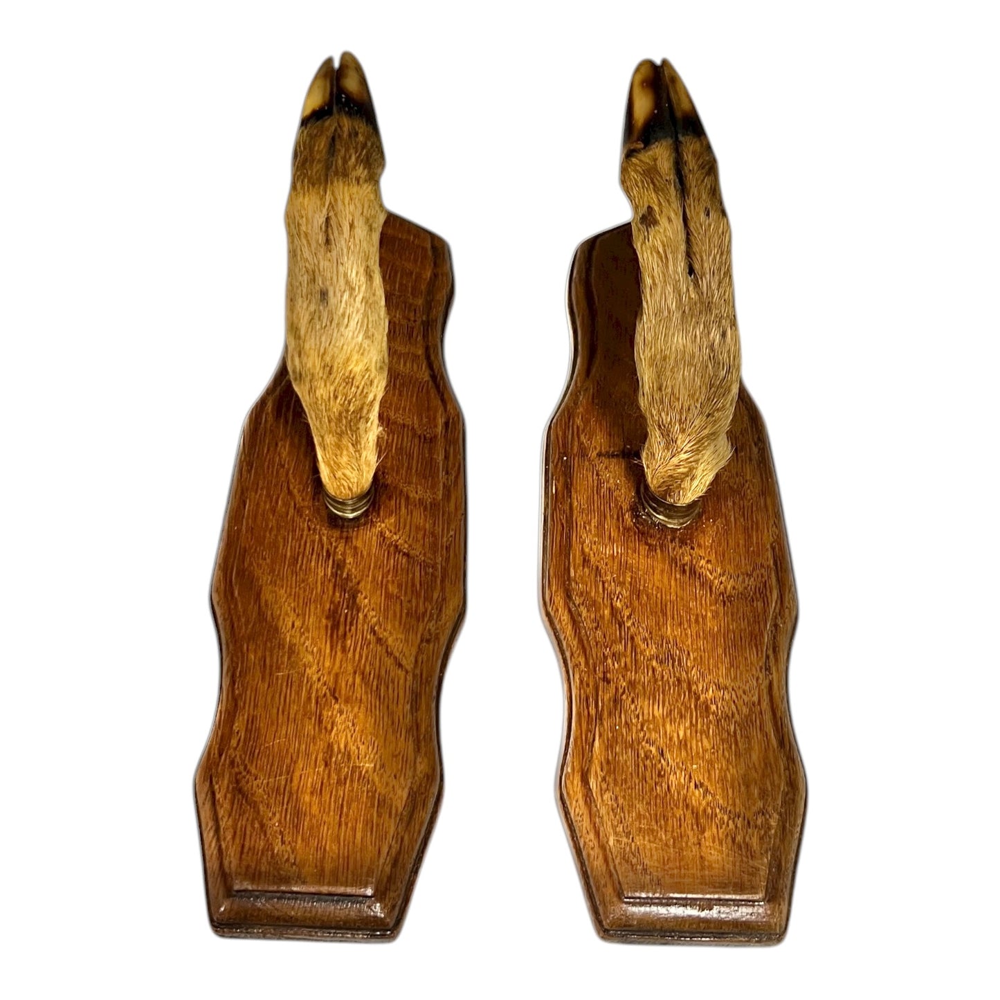 Pair of wooden deer antler bookends on a white background