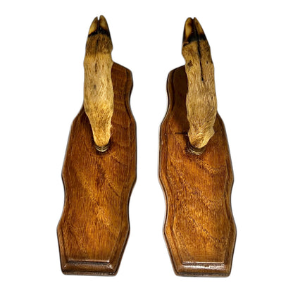 Pair of wooden deer antler bookends on a white background