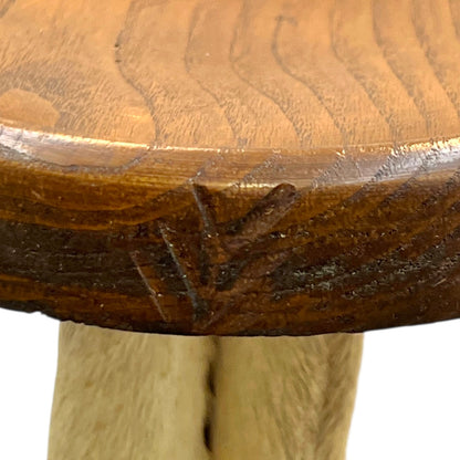 close up of taxidermy plant stand carved edge