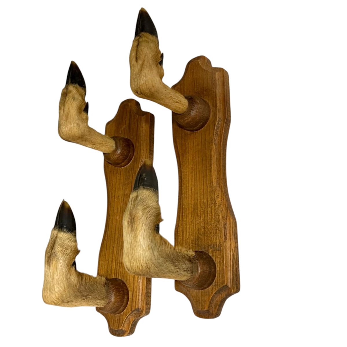 A pair of vintage-style wooden wall hooks shaped like animal hooves, featuring natural tan fur with black tips mounted on medium brown wood plaques, shown against a plain white background.