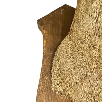 Close-up of a taxidermy deer head on a white background