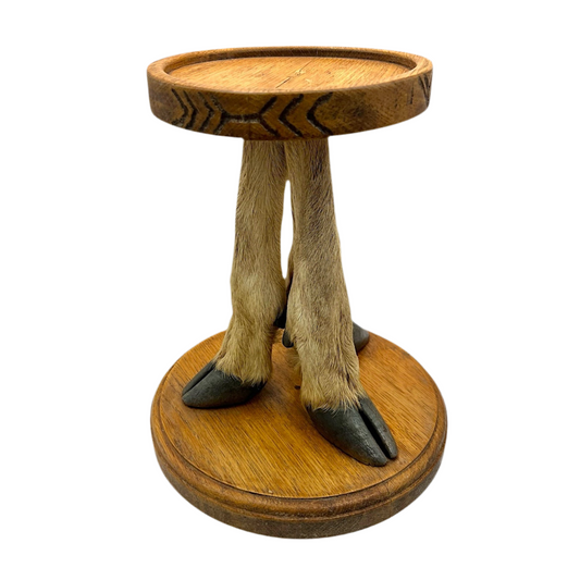 Taxidermy Deer Leg Plant Stand or Mini Side Table, French Vintage Specimen