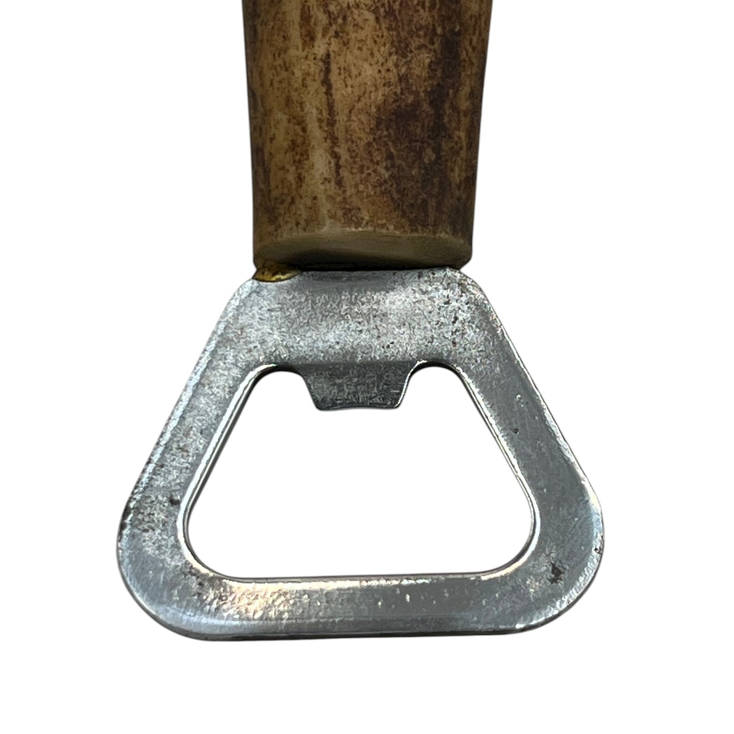 Close-up of a deer antler on a white background