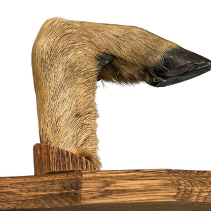 French Deer Hoof Vintage Taxidermy Coat Hooks – Hunting Gift