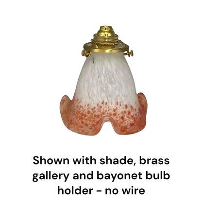 Tulip shaped mottled coral coloured glass lampshade with a brass collar and text underneath detailing buying options shown on a white background 