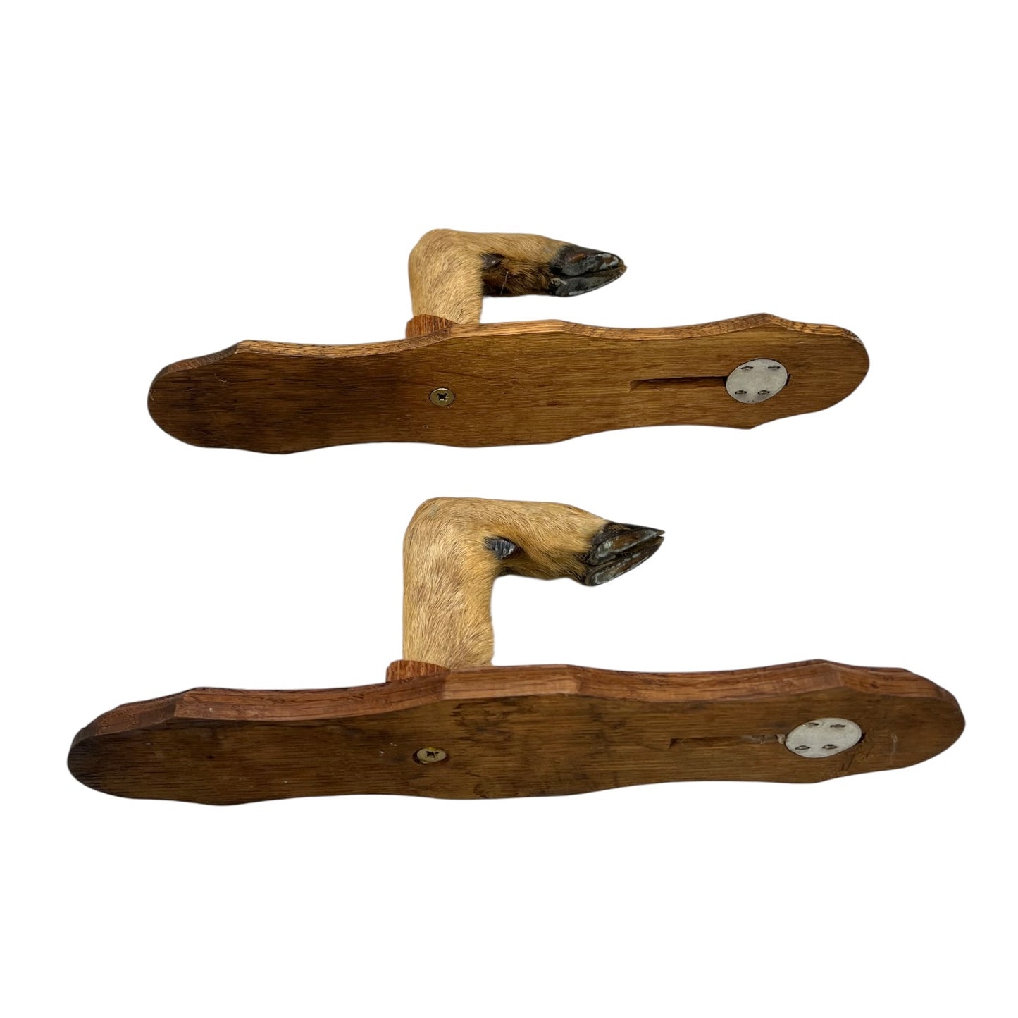 French Deer Hoof Vintage Taxidermy Coat Hooks – Hunting Gift