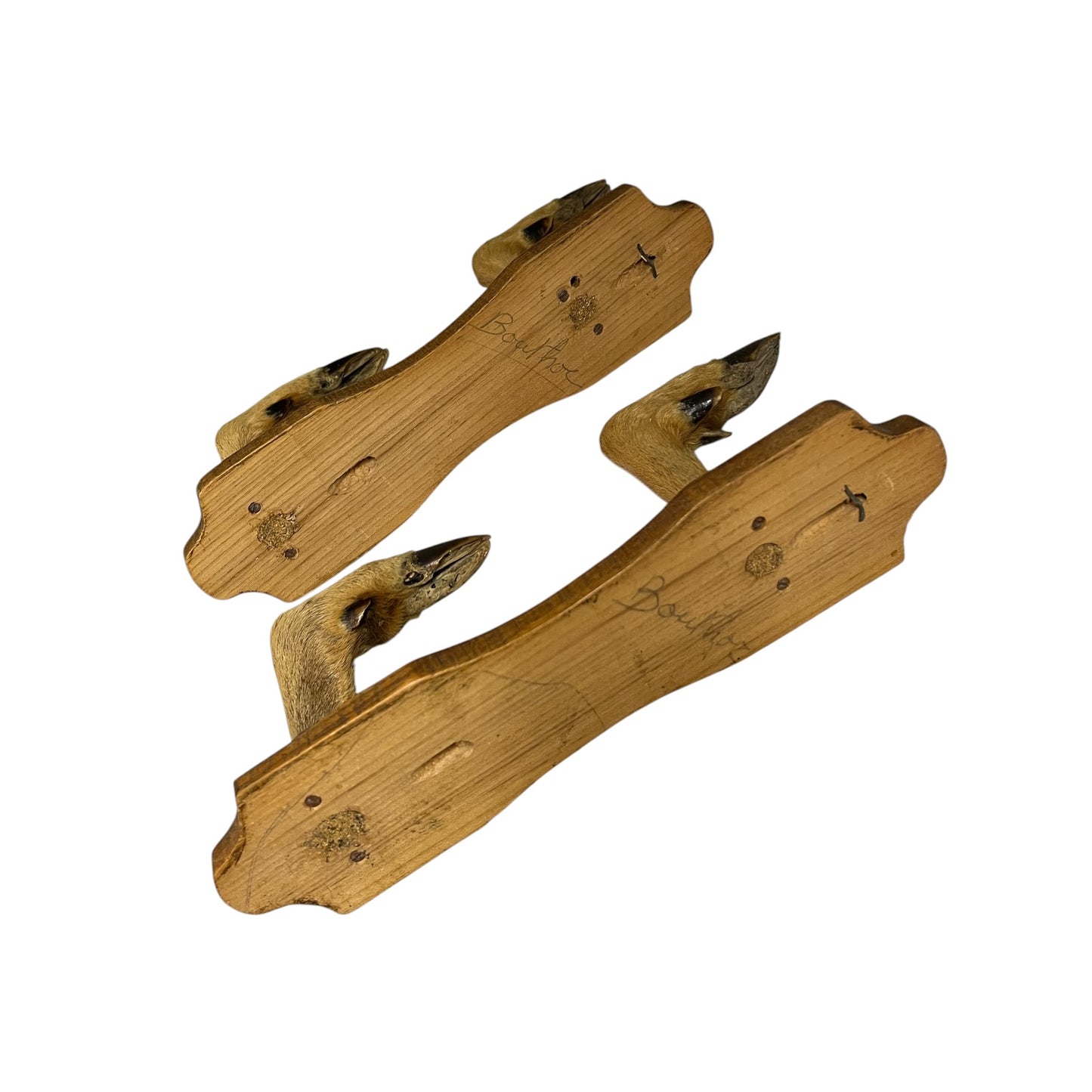 Vintage French Taxidermy Deer Hoof Coat Hooks – Set of 4
