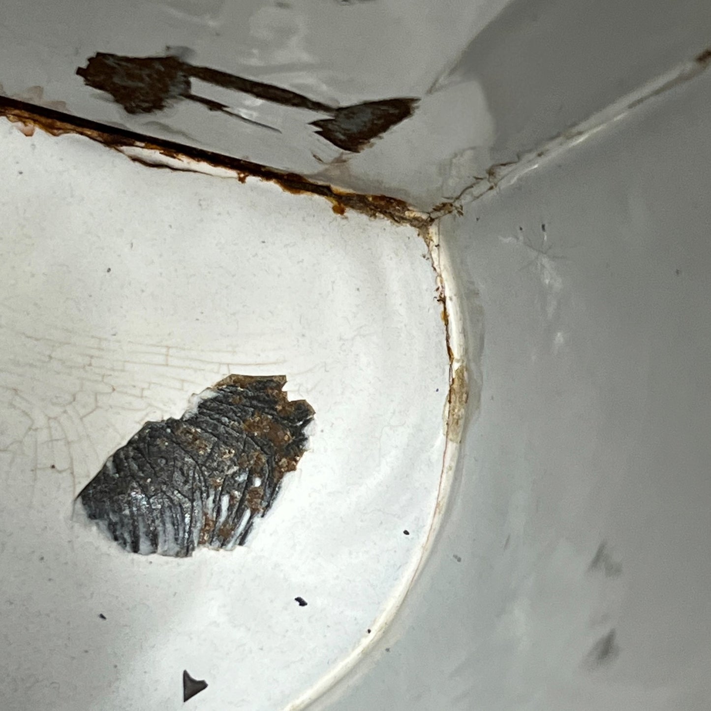 Close-up of the inside corner of a white enamel pot showing significant rust staining along the rim and a dark, dried food residue or crust inside the bottom.