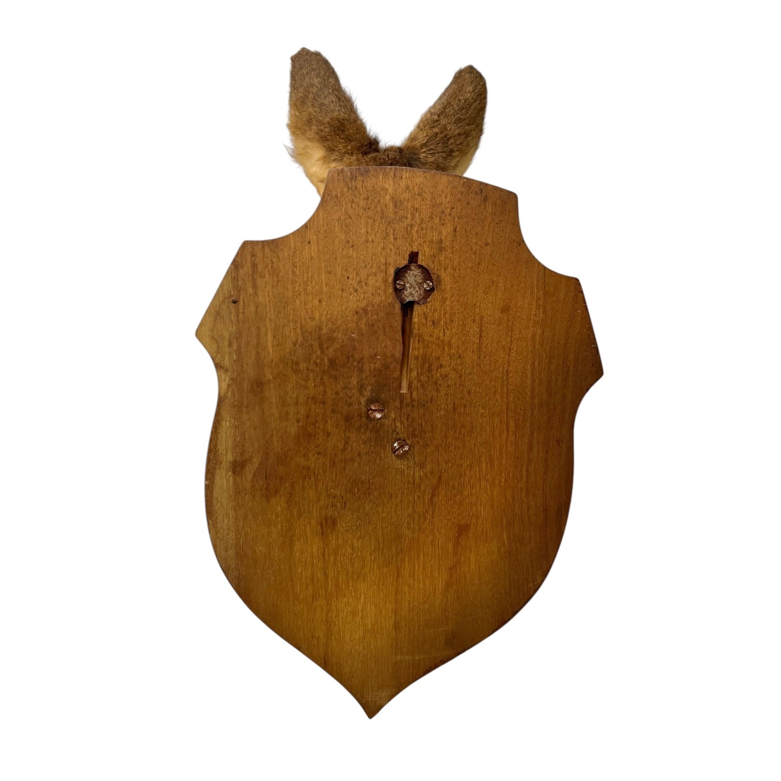 Wooden taxidermy mount of a deer head on a white background