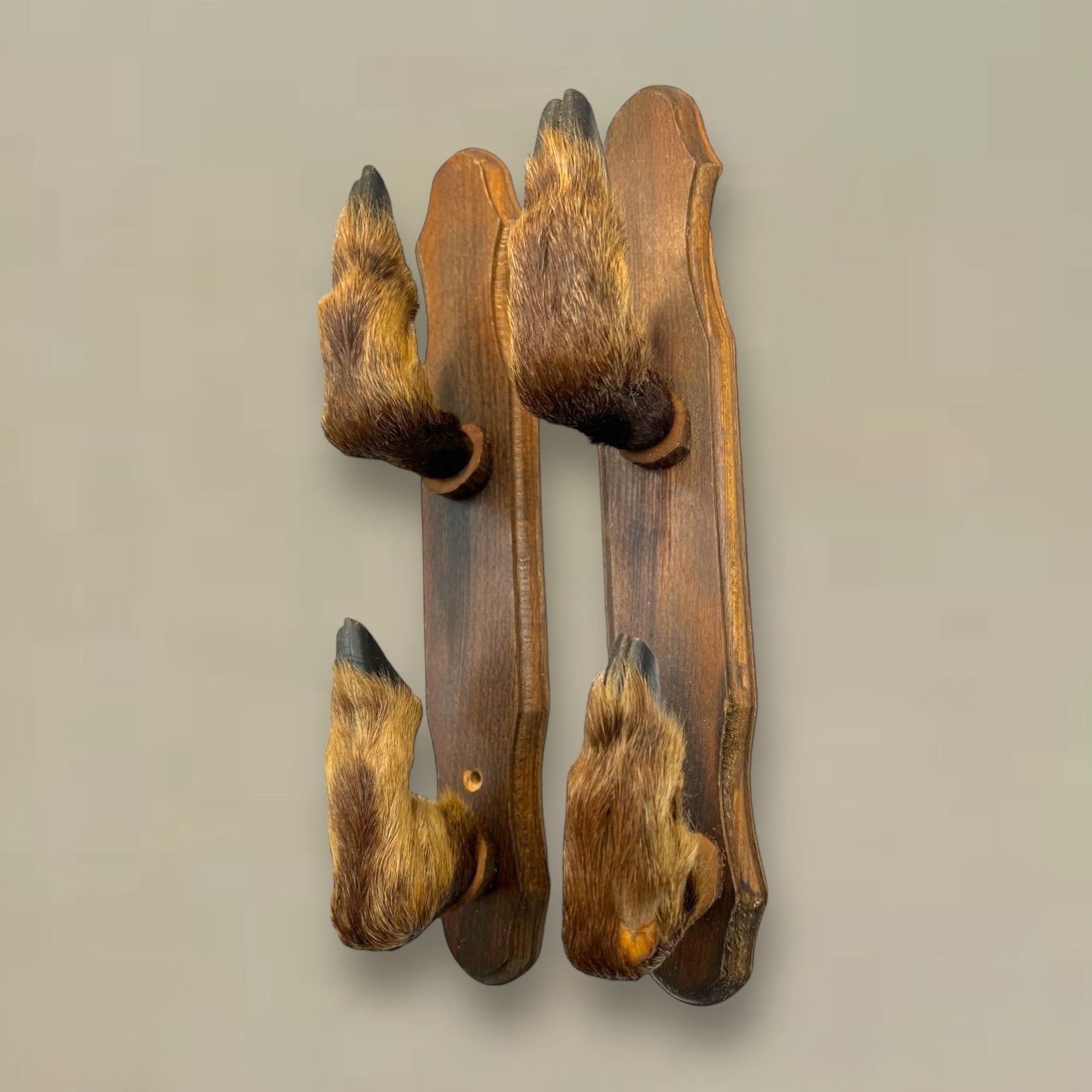 French Taxidermy Boar Hooves Coat Hooks, Hat Rack or Umbrella Holder 