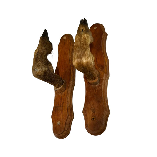 Vintage French Deer Hoof Taxidermy Coat Hooks | Rustic Hunting Wall Hooks