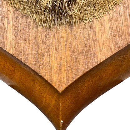 Close-up of a taxidermy deer head on a white background