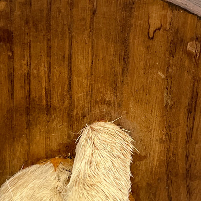 close up of taxidermy plant stand underside