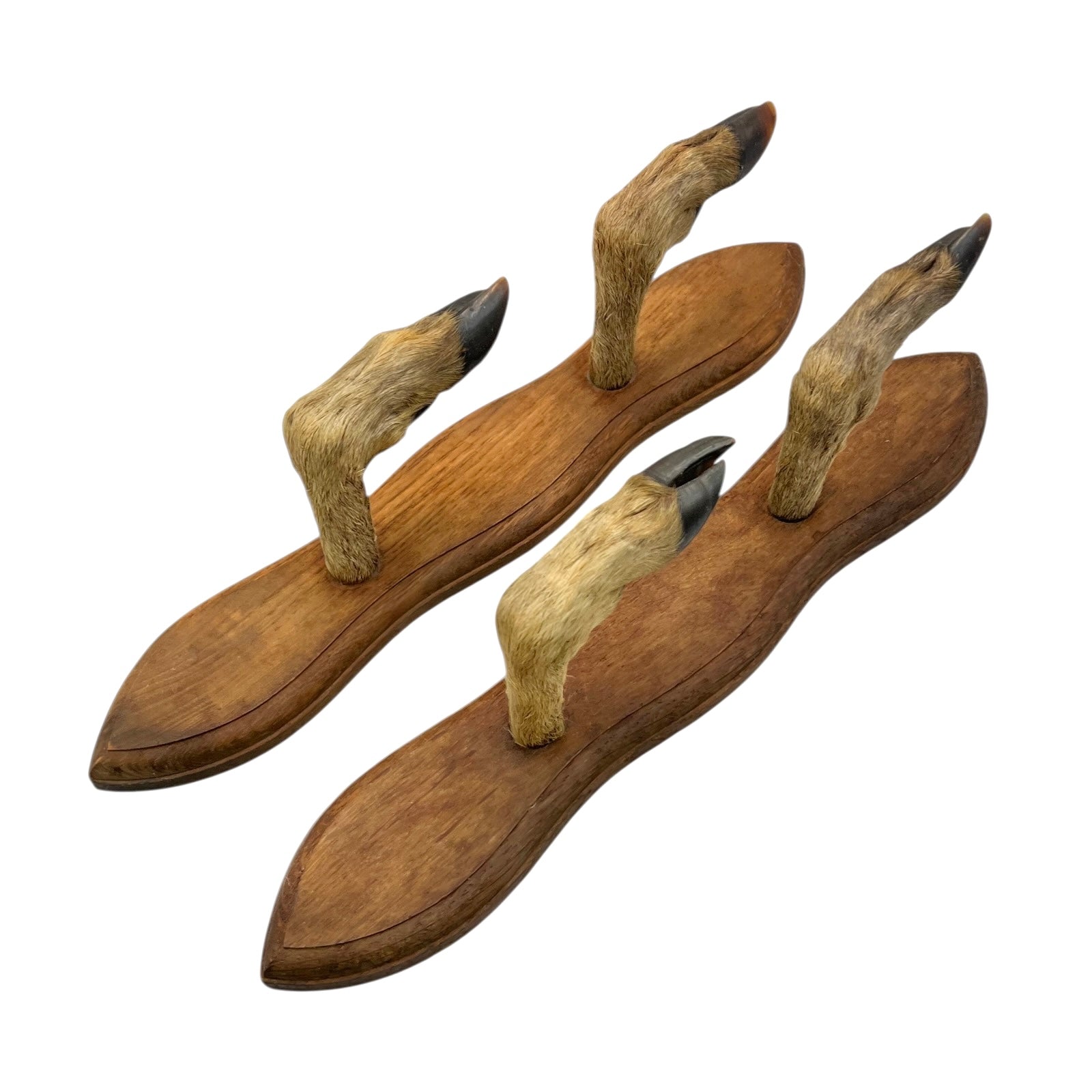Wall hooks on a wooden mount made from 4 taxidermy deer hooves on a white background