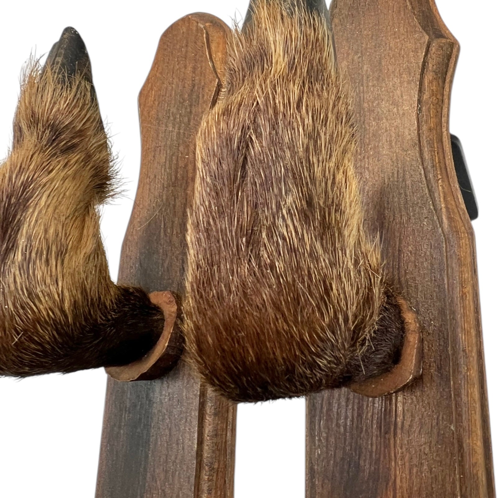 French Taxidermy Boar Hooves Coat Hooks, Hat Rack or Umbrella Holder 