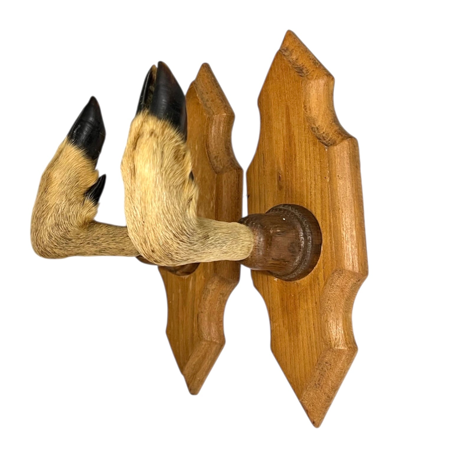 Wooden wall hooks made from deer hooves design on a white background