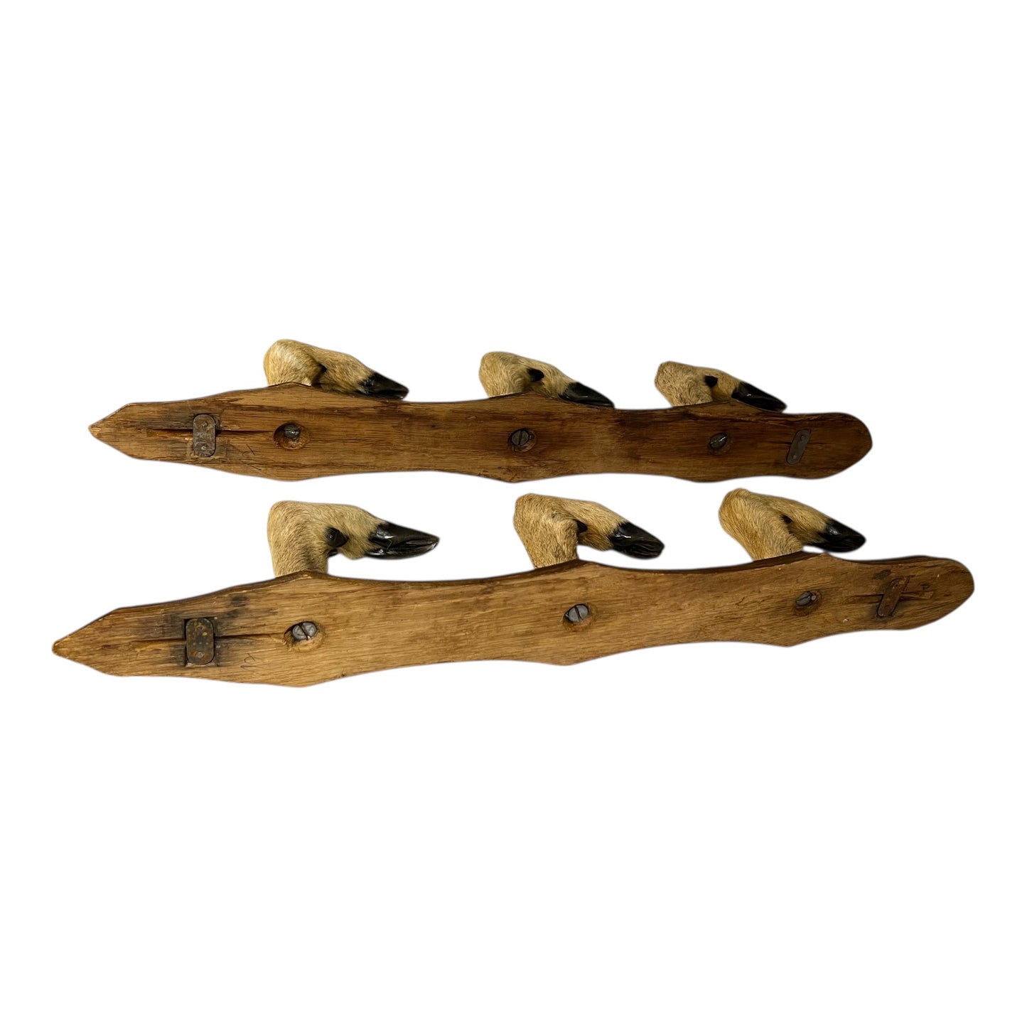 Set of 6 French Deer Hoof Vintage Taxidermy Coat Hooks – Hunting Gift