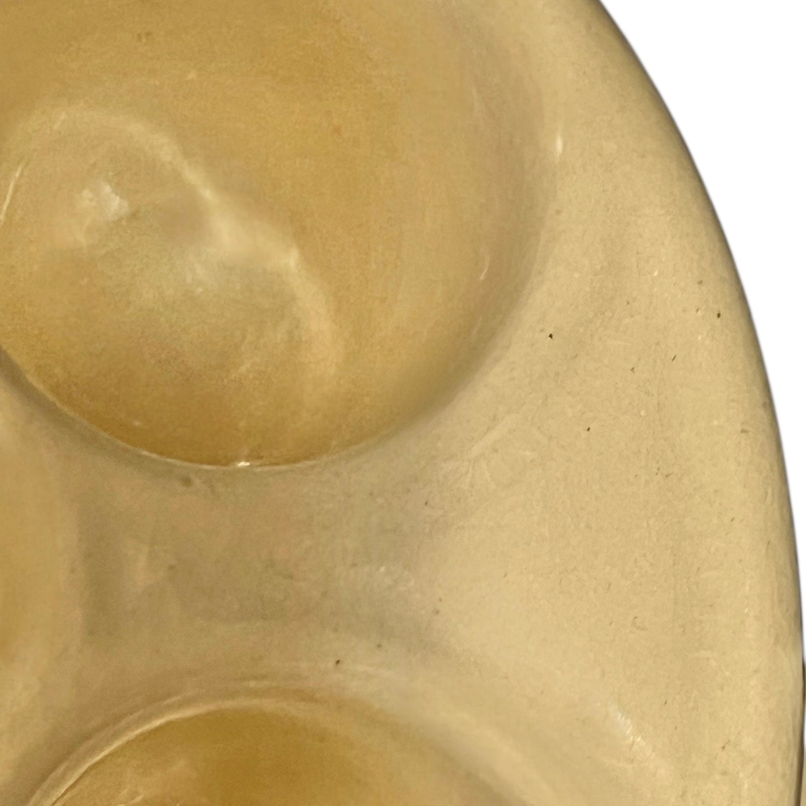 Close up of snail plates with handles on a white background